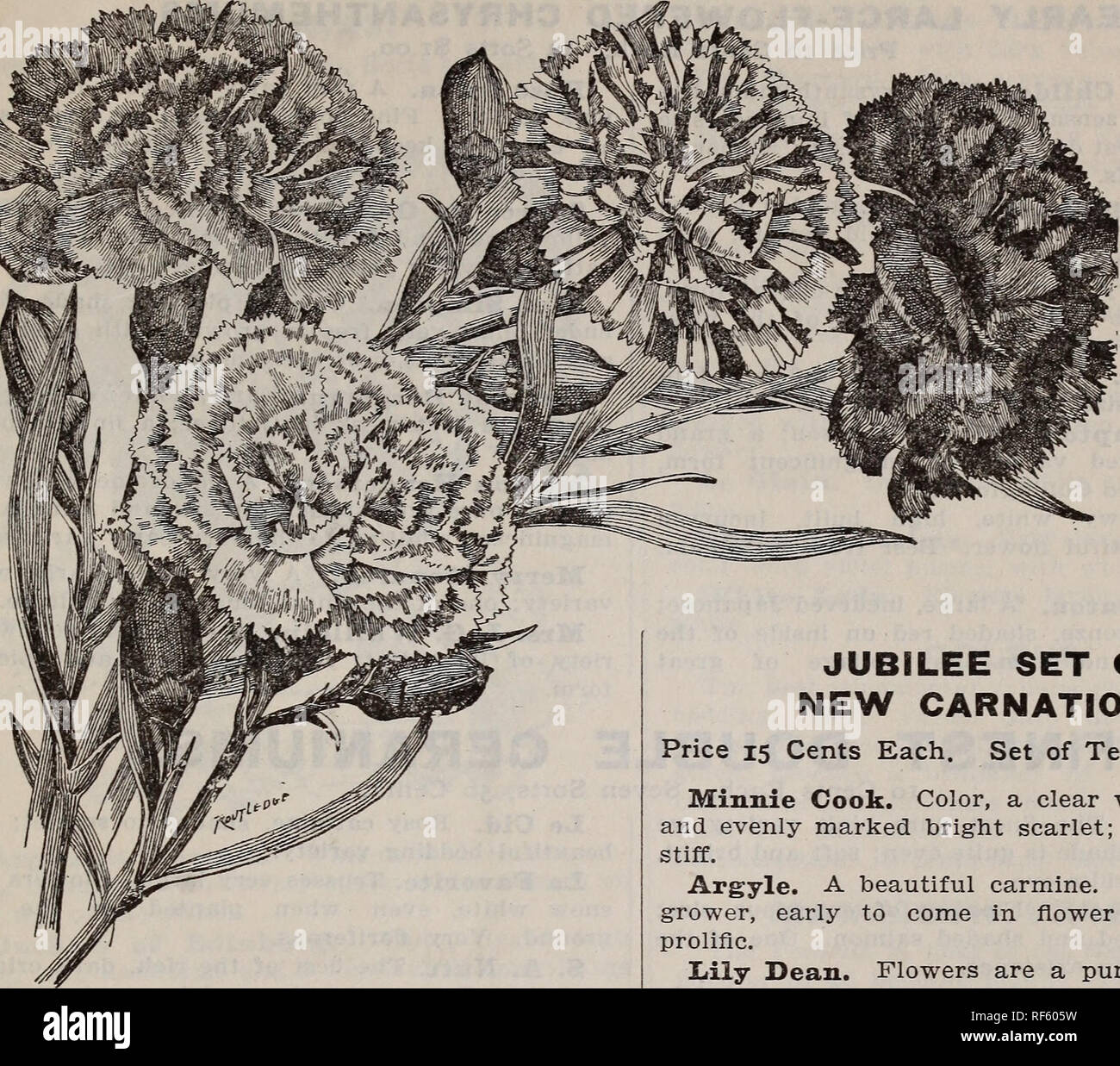 Illustrierte 1902 Katalog Samen Choicest Garten Und Bauernhof