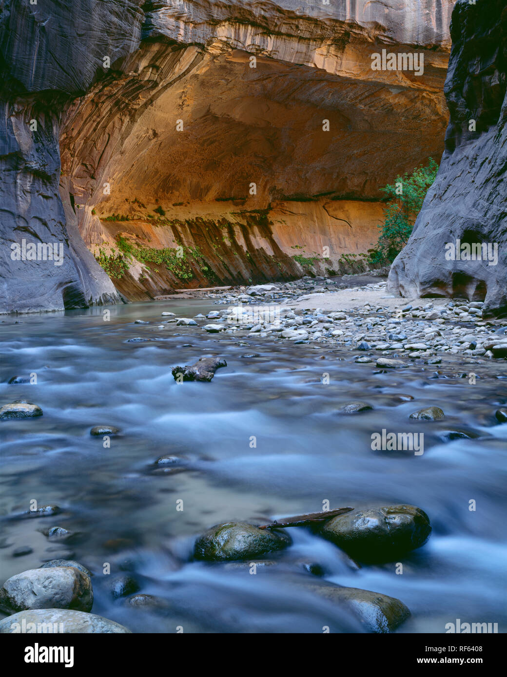 USA, Utah, Zion National Park, North Fork Virgin River Kurven unter einem Sandstein Alkoven in der VERENGT. Stockfoto