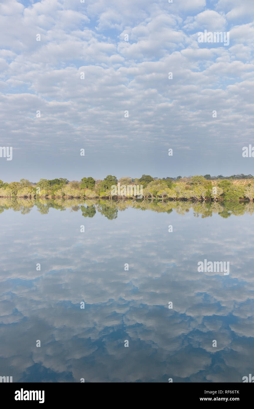 Kafue National Park, Sambia, ist nach der Kafue Fluss, ein wichtiges Merkmal des Parks. Stockfoto