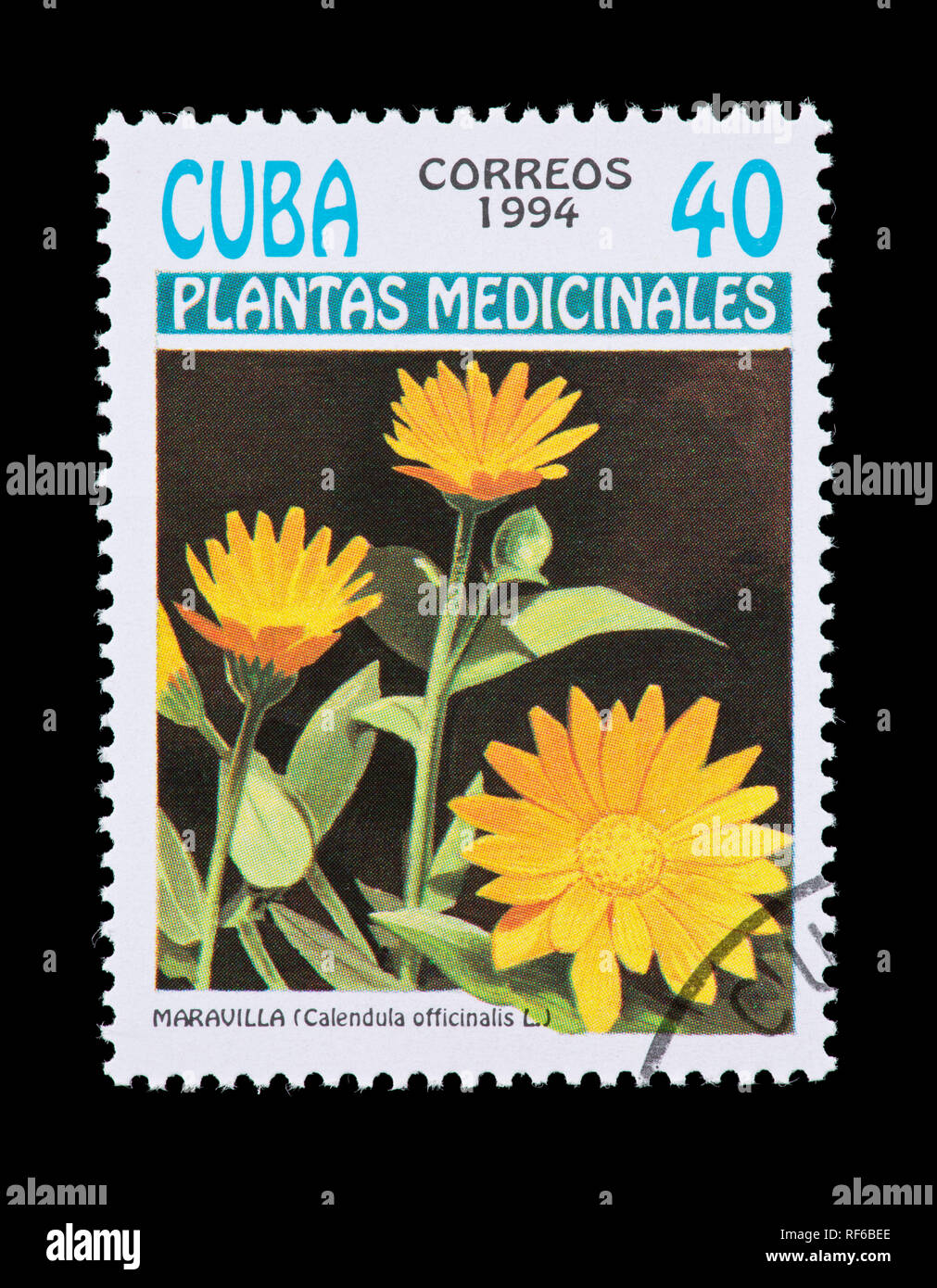 Briefmarke aus Kuba mit der Darstellung der Arzneimittel Blumentopf Ringelblume (Calendula officinalis) Stockfoto