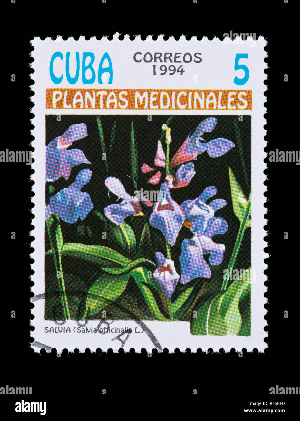Briefmarke aus Kuba mit der Darstellung der Arzneimittel Blume Salbei (Salvia officinalis) Stockfoto
