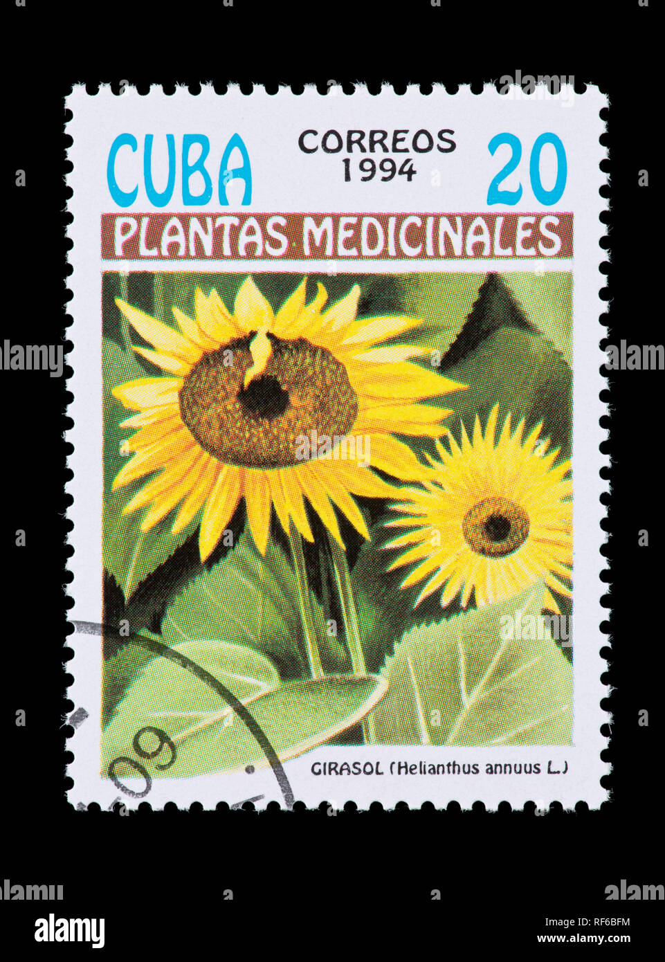 Briefmarke aus Kuba mit der Darstellung der Arzneimittel Blume (Helianthus annuus) Stockfoto