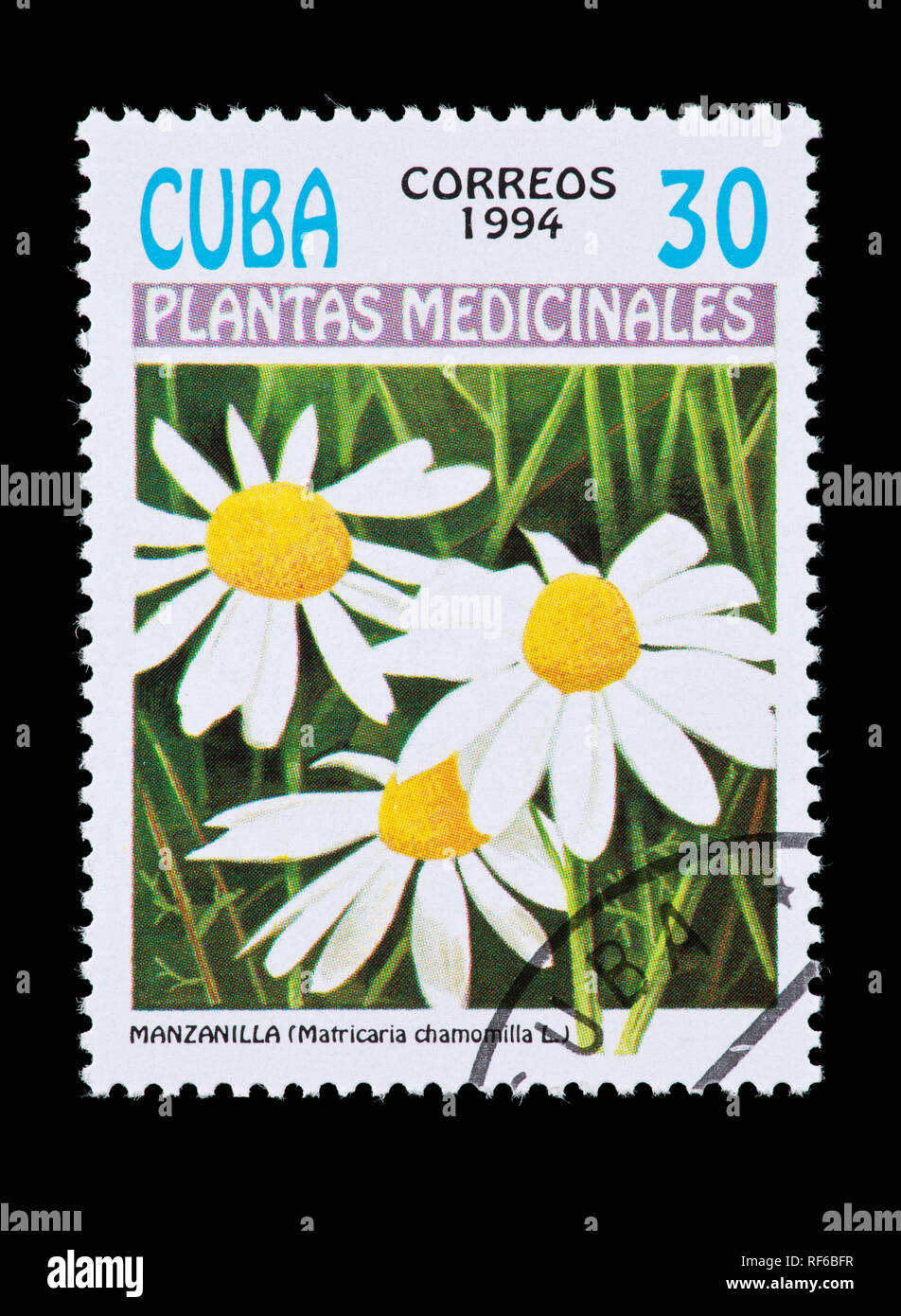 Briefmarke aus Kuba mit der Darstellung der Arzneimittel, Blume, oder Italienisch camomilla Kamille (Matricaria Chamomilla) Stockfoto
