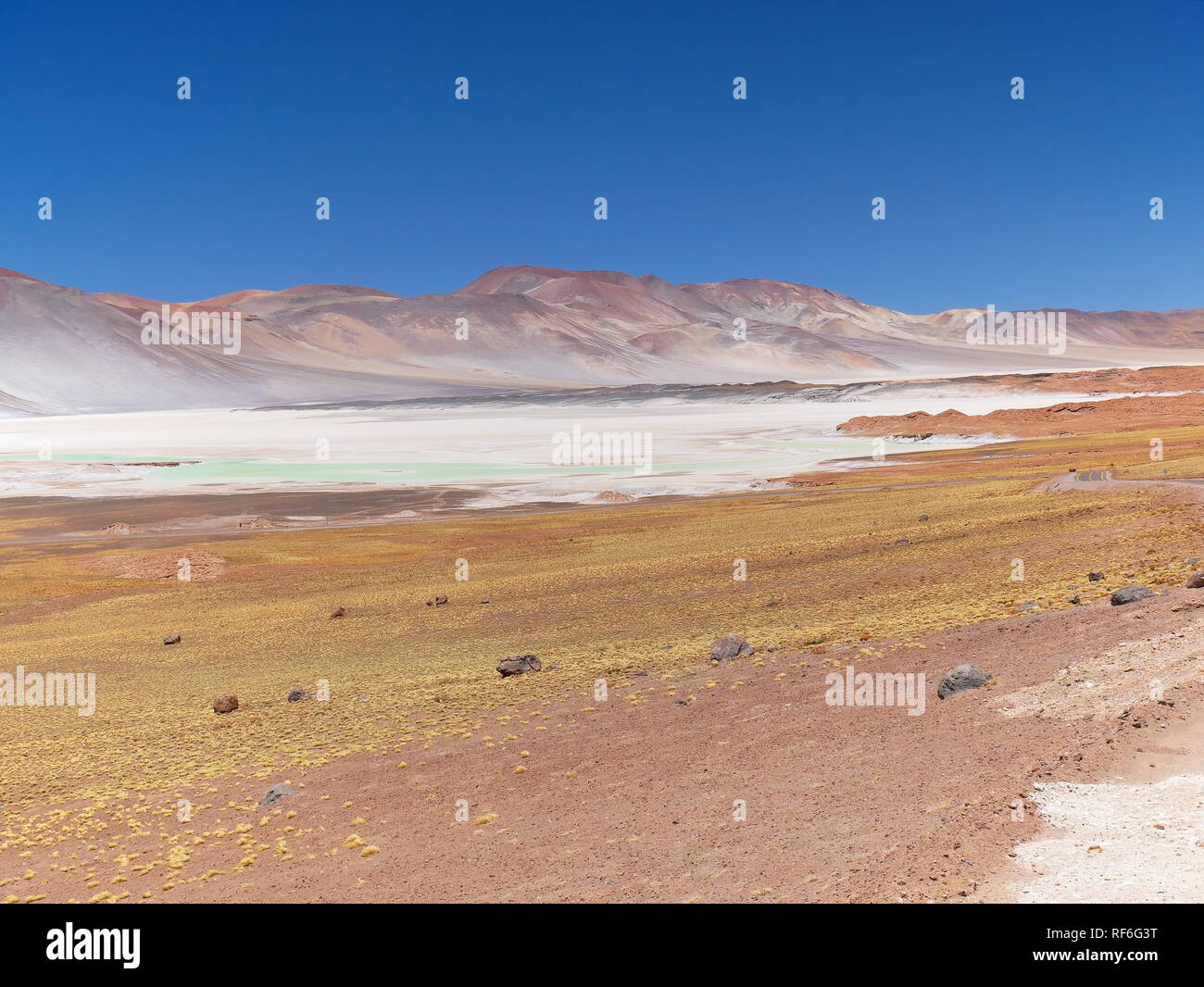 Laguna Piedras Rojas in den chilenischen Anden. Die Wüste von Atacama im Norden von Chile ist die trockenste Region der Erde. Stockfoto