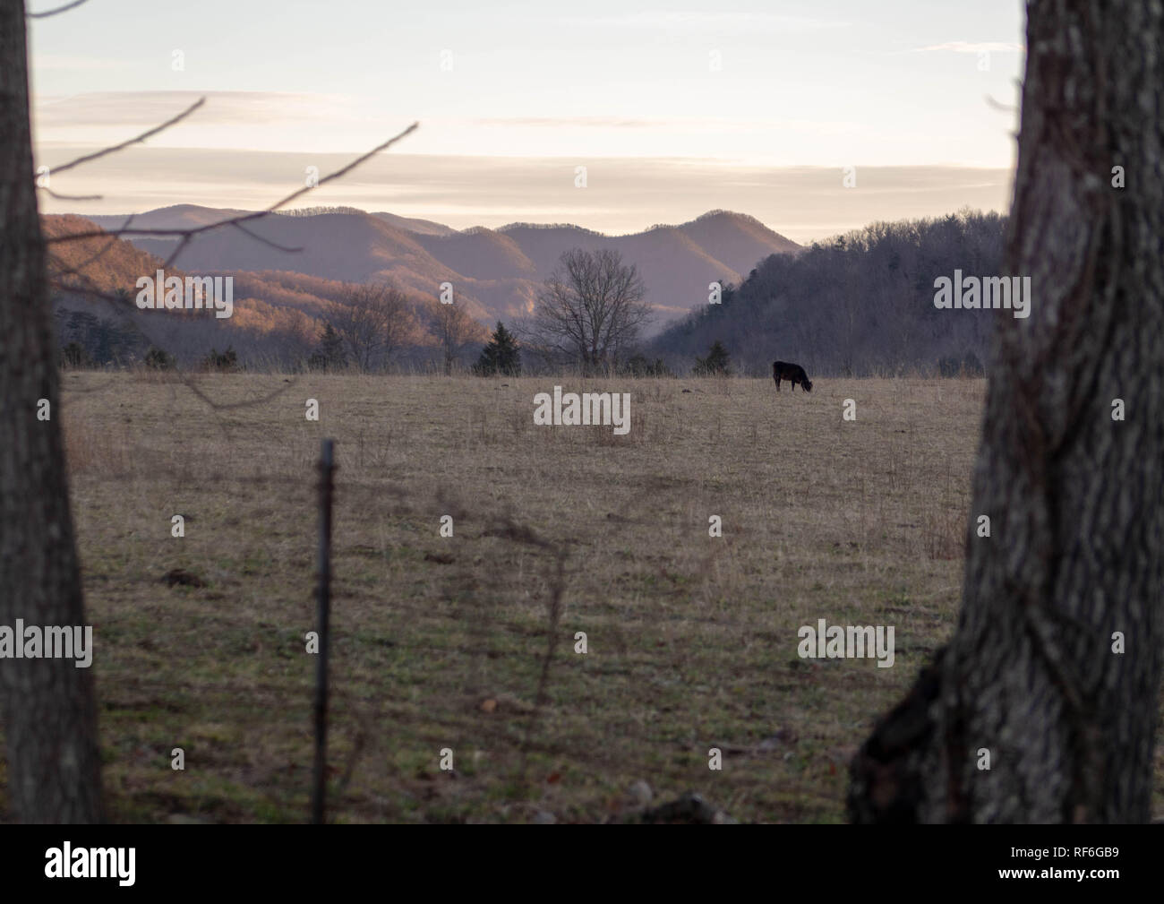 Landschaft Stockfoto