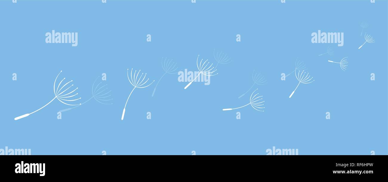 Löwenzahn Samen fliegen in den Wind auf blauem Hintergrund Vektor-illustration EPS 10. Stock Vektor