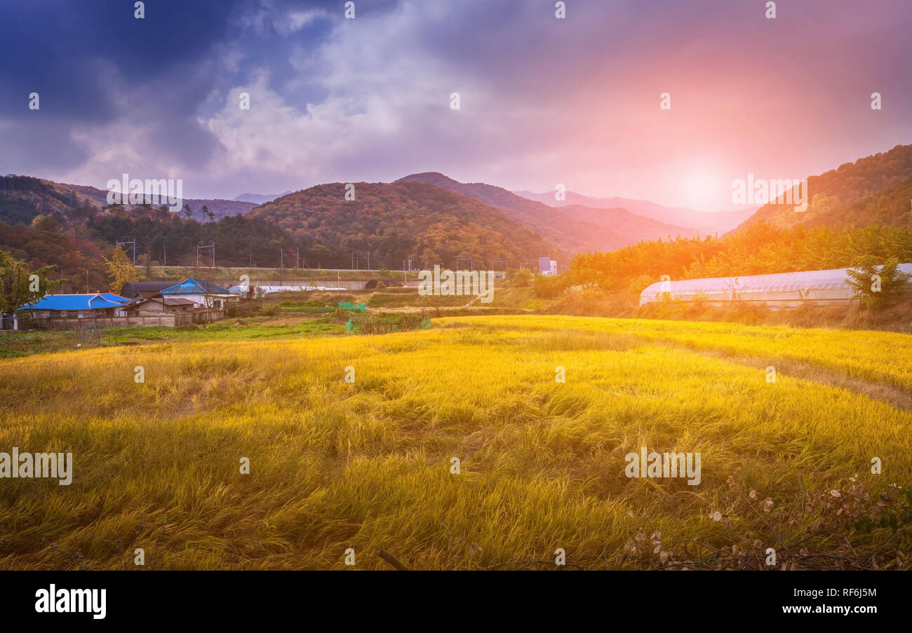 Herbstlandschaft, Korea. Stockfoto