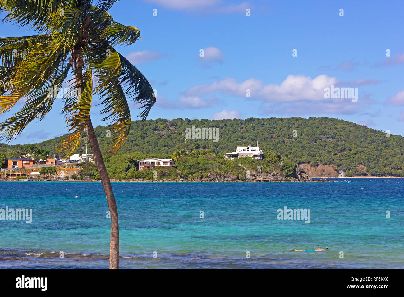 Seichten warmen Wasser der tropischen Insel Bucht bietet perfekte Bedingungen zum Schnorcheln. Stockfoto