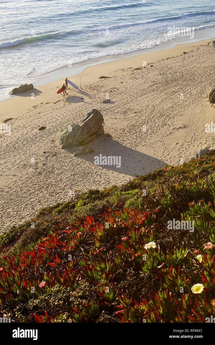 Big Sur Küste Stockfoto