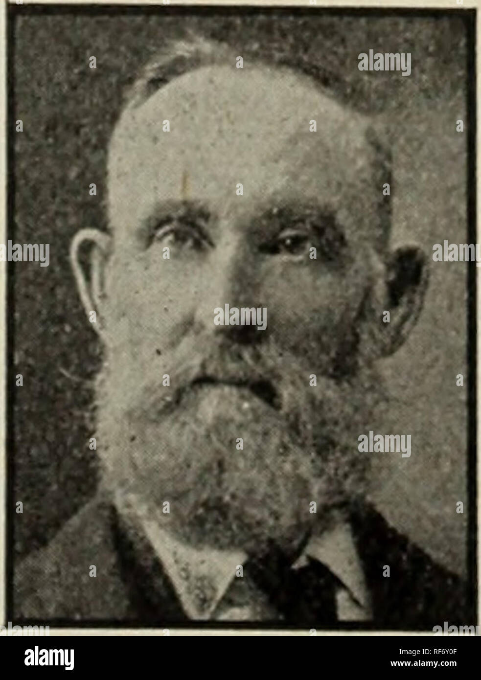 . Katalog. Baumschulen Michigan Kataloge; Obstbäume Sämlinge Kataloge Kataloge; Obst; Pflanzen, Zierpflanzen Kataloge; Bäume; Sträucher Sämlinge Kataloge Kataloge. HON. W. W. HILBORN DER FAVORIT PFIRSICH an allen Ausstellungen. Das Banner ist der feinste Pfirsich, die ich je gesehen habe. Es hat immer eine einfache Sieger und der Liebling Pfirsich an allen Ausstellungen. Ich habe die Sorte seit vielen Jahren beobachtet und wissen, daß es eine schwere Inhaber und Hardy. Die Frucht ist groß, rund, mit schönen roten Wange; Fleisch Goldgelb, und reift den letzten Teil im September. G.H.MÜHLEN, Leamington, Ontario, Inspektor der Orch. Stockfoto