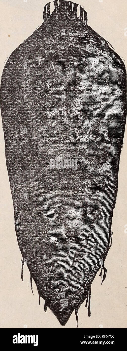 Zahlen sie immer unsere bauern -Fotos und -Bildmaterial in hoher