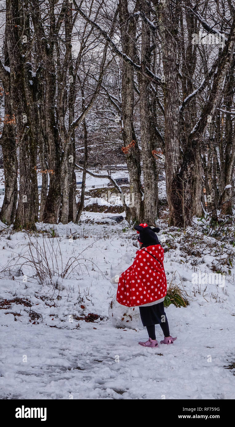 Ein Madchen Mit Roten Kleid Wandern Im Schnee Wald Im Winter Stockfotografie Alamy
