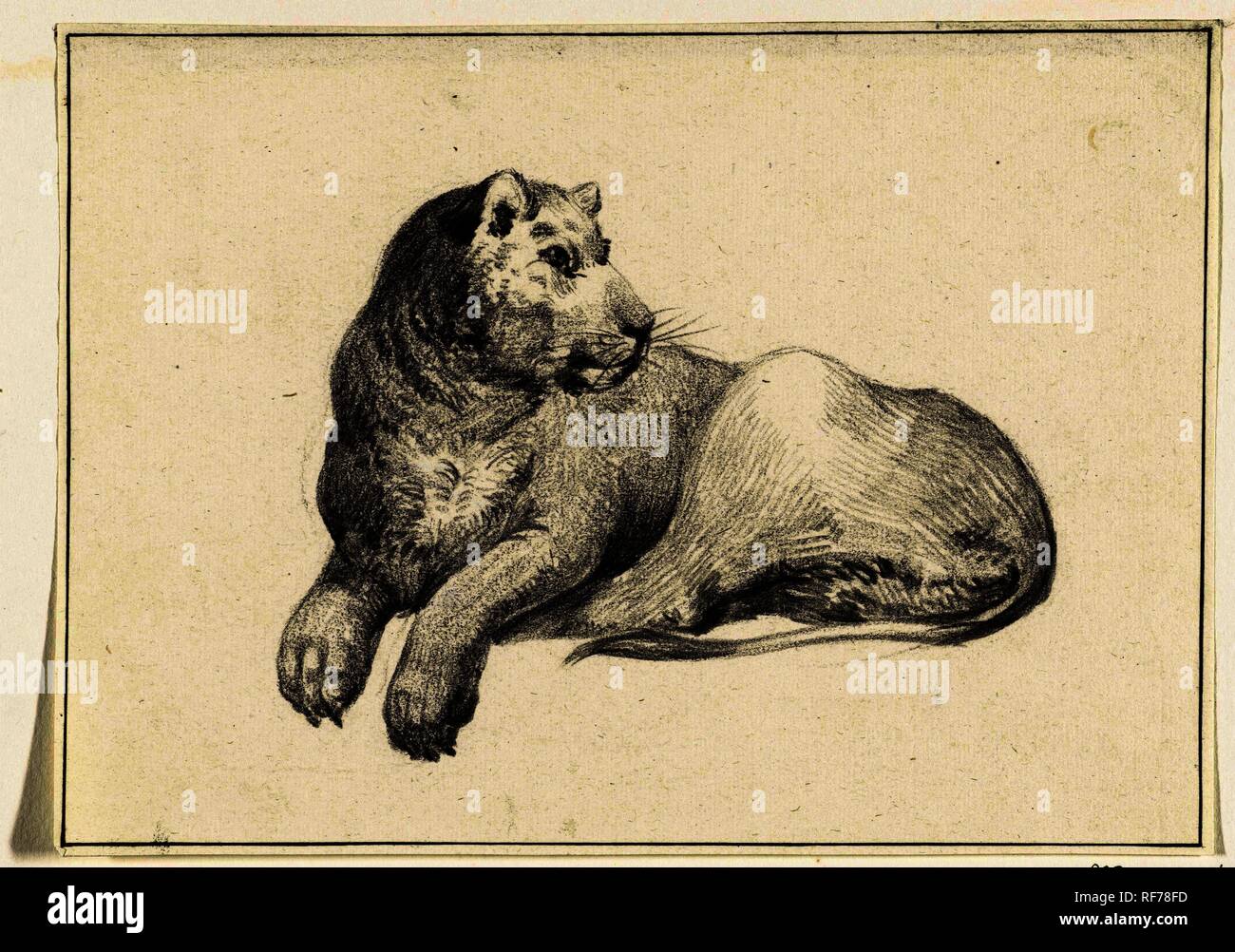 Liegenden Löwen, der Kopf nach rechts gedreht. Verfasser der Stellungnahme: Jean Bernard. Datierung: 1775 - 1833. Maße: H 157 mm x B 218 mm. Museum: Rijksmuseum, Amsterdam. Stockfoto