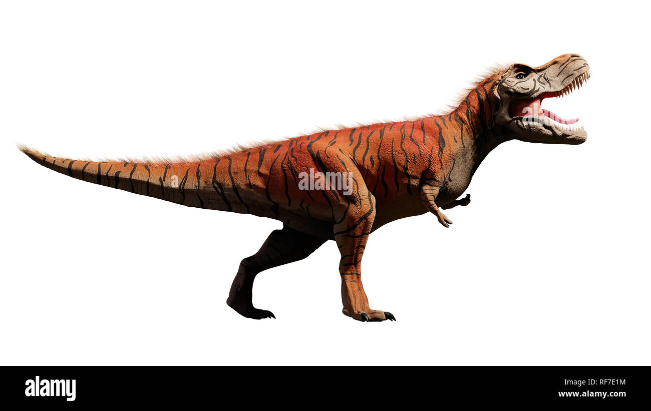 Tyrannosaurus Rex T Rex Dinosaurier Aus Der Kreidezeit 3d Dino Rendering Auf Weissem Hintergrund Stockfotografie Alamy