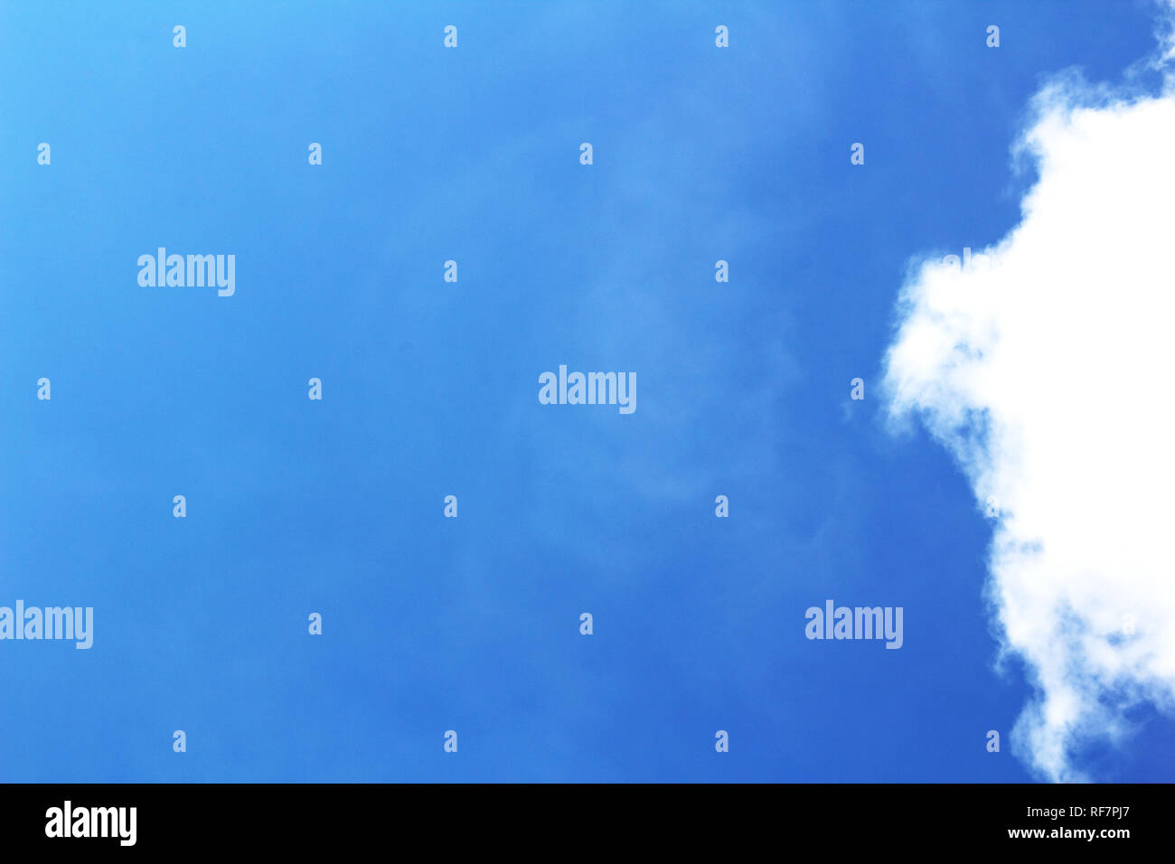 Eine große weiße Wolke am Himmel mit Kopierraum. Strahlend blau offener Sommerhimmel bei schönem Wetter. Stockfoto