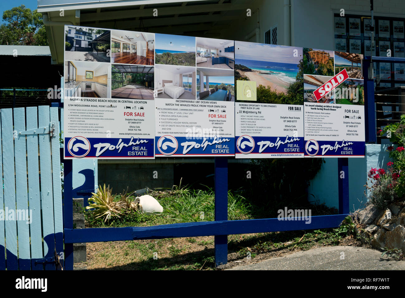 Dolphin real estate Board, Point Lookout, North Stradbroke Island, Queensland, Australien Stockfoto