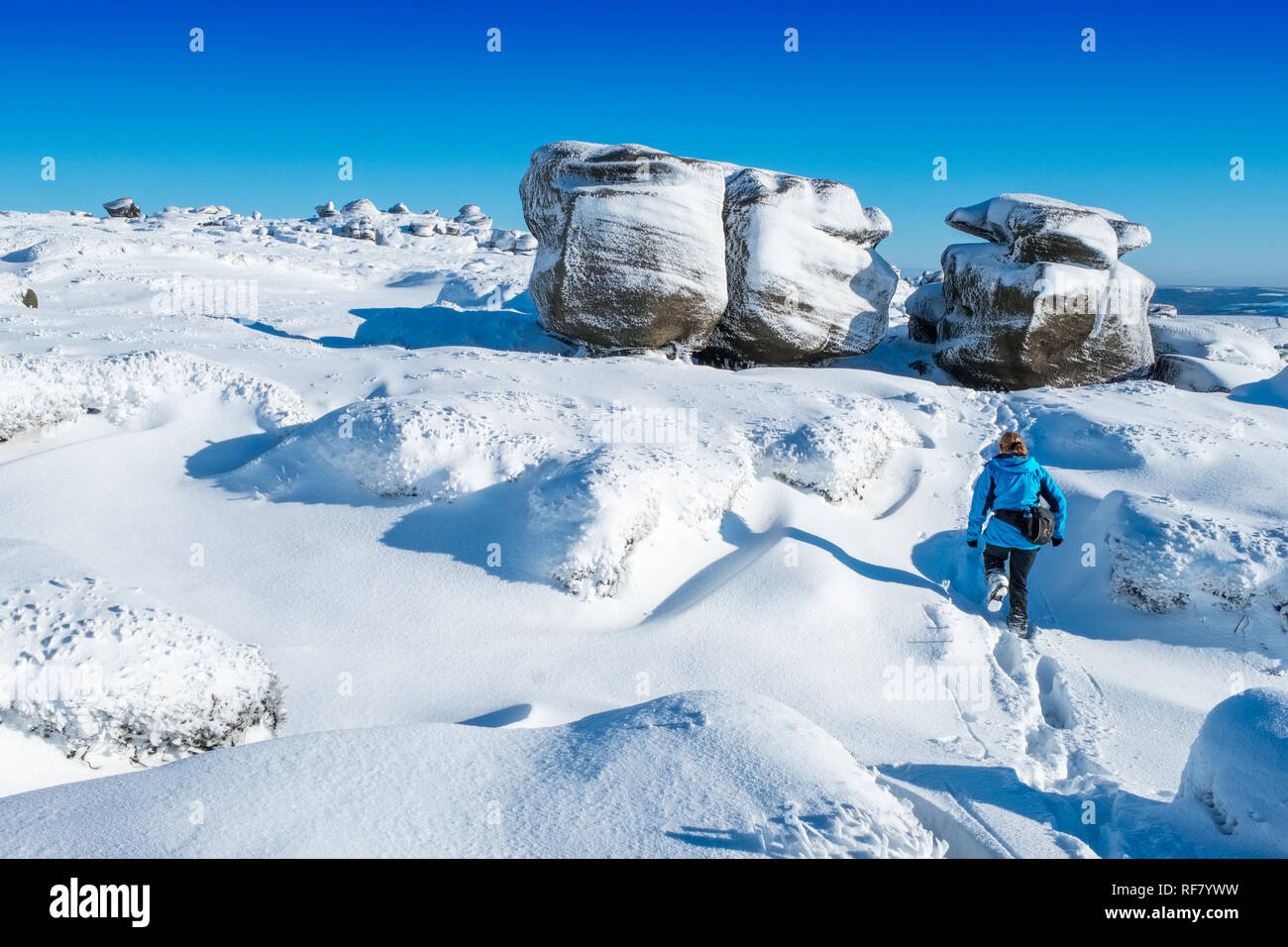 Frau / Frau Wandern im Schnee auf Kinder Scout, Peak District National Park, Großbritannien Stockfoto