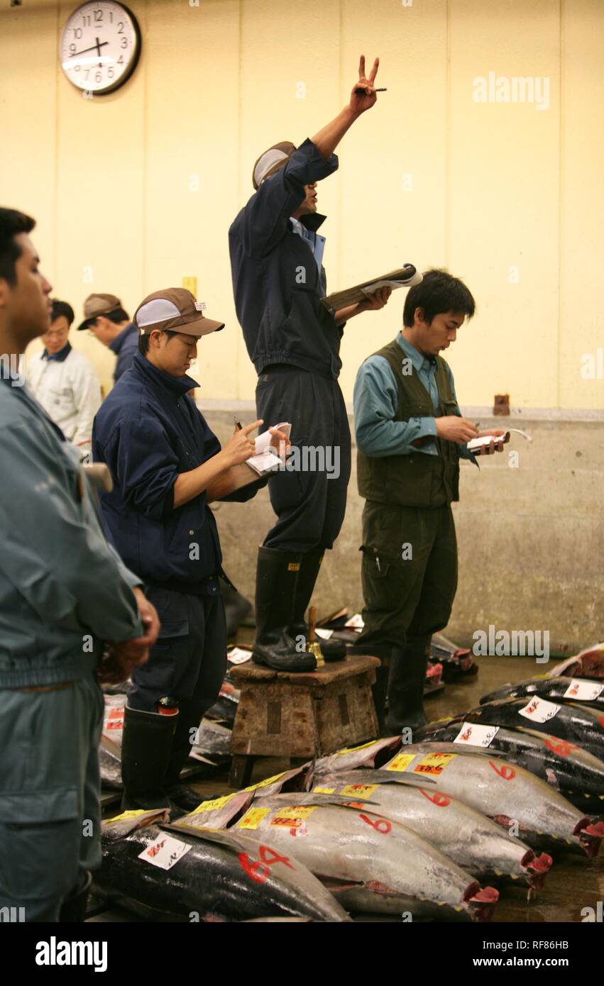 Auktion, Fischmarkt, Tsukiji, Tokio, Japan, Asien Stockfoto