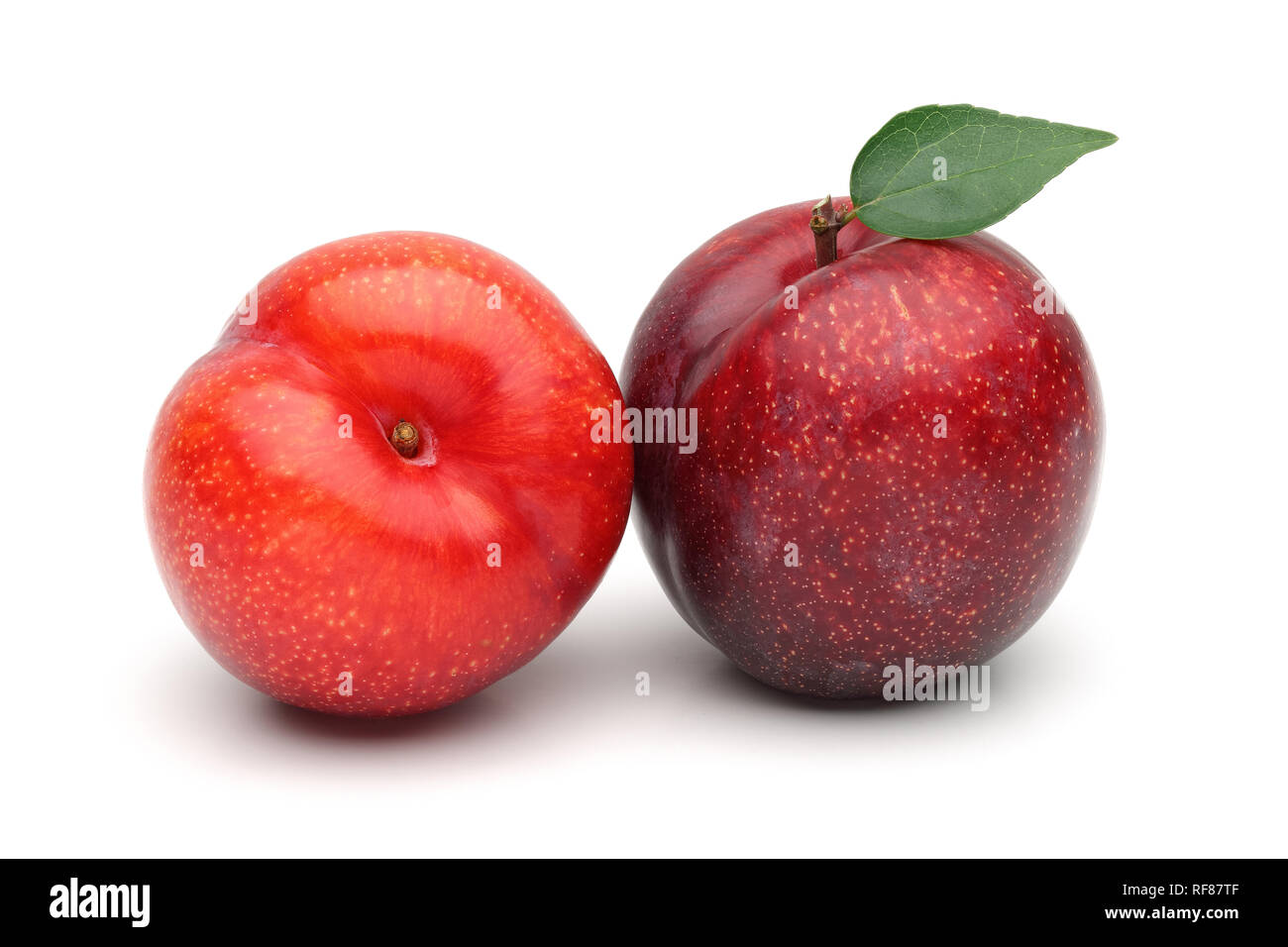 Ganze rote Pflaumen mit Blatt auf weißem Hintergrund Stockfoto