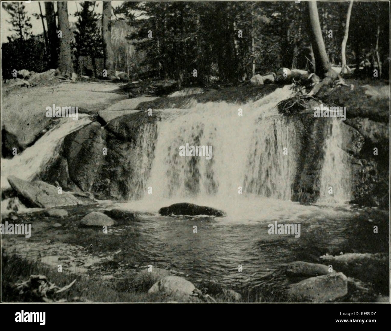 . Katalog der Säugetiere von E.Heller in Südkalifornien gesammelt. Säugetiere - Kalifornien. 1. Mount Williamson, vom Gipfel des Mount Whitney. 2. Rock Creek, Mount Whitney.. Bitte beachten Sie, dass diese Bilder sind von der gescannten Seite Bilder, die digital für die Lesbarkeit verbessert haben mögen - Färbung und Aussehen dieser Abbildungen können nicht perfekt dem Original ähneln. extrahiert. Elliot, Daniel Giraud, 1835-1915. Chicago Stockfoto