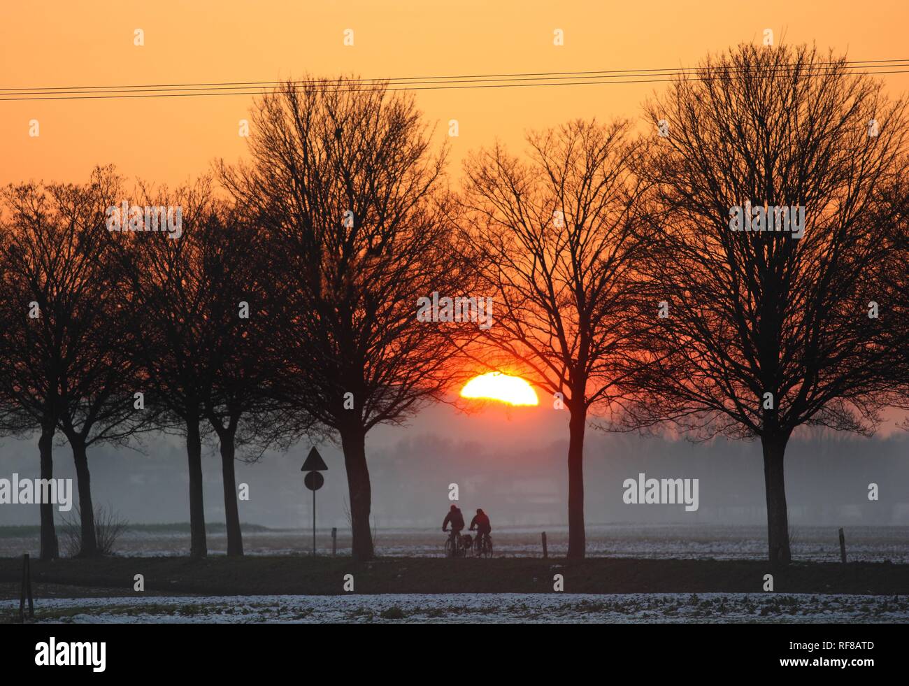 Sonnenuntergang, Autofahrer und Radfahrer auf einer Landstraße im Winter in der Nähe von Duisburg, Nordrhein-Westfalen Stockfoto