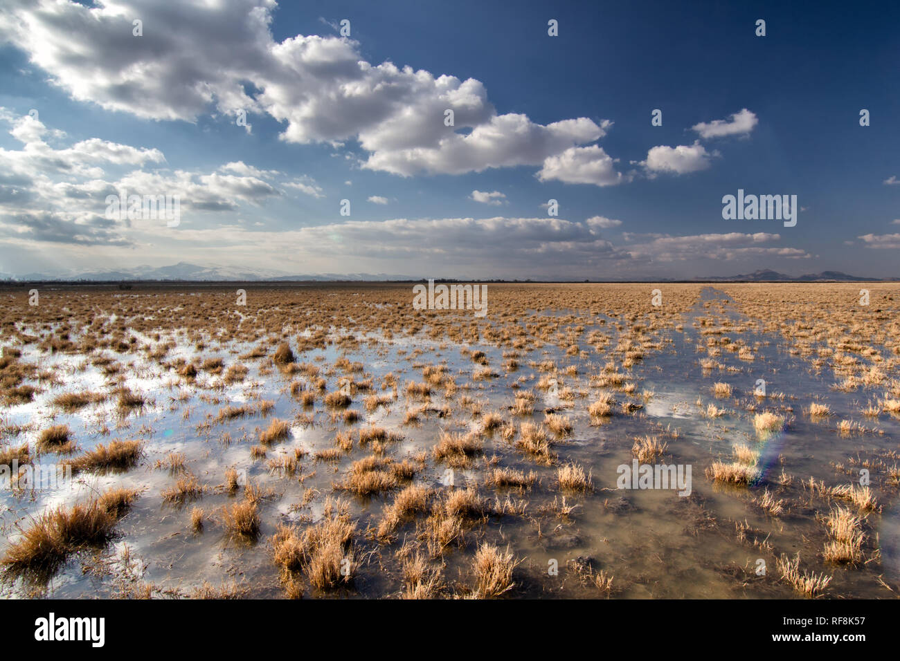 Feuchtgebiete um Urmia-see, West Aserbaidschan Provinz Urmia, Iran Stockfoto
