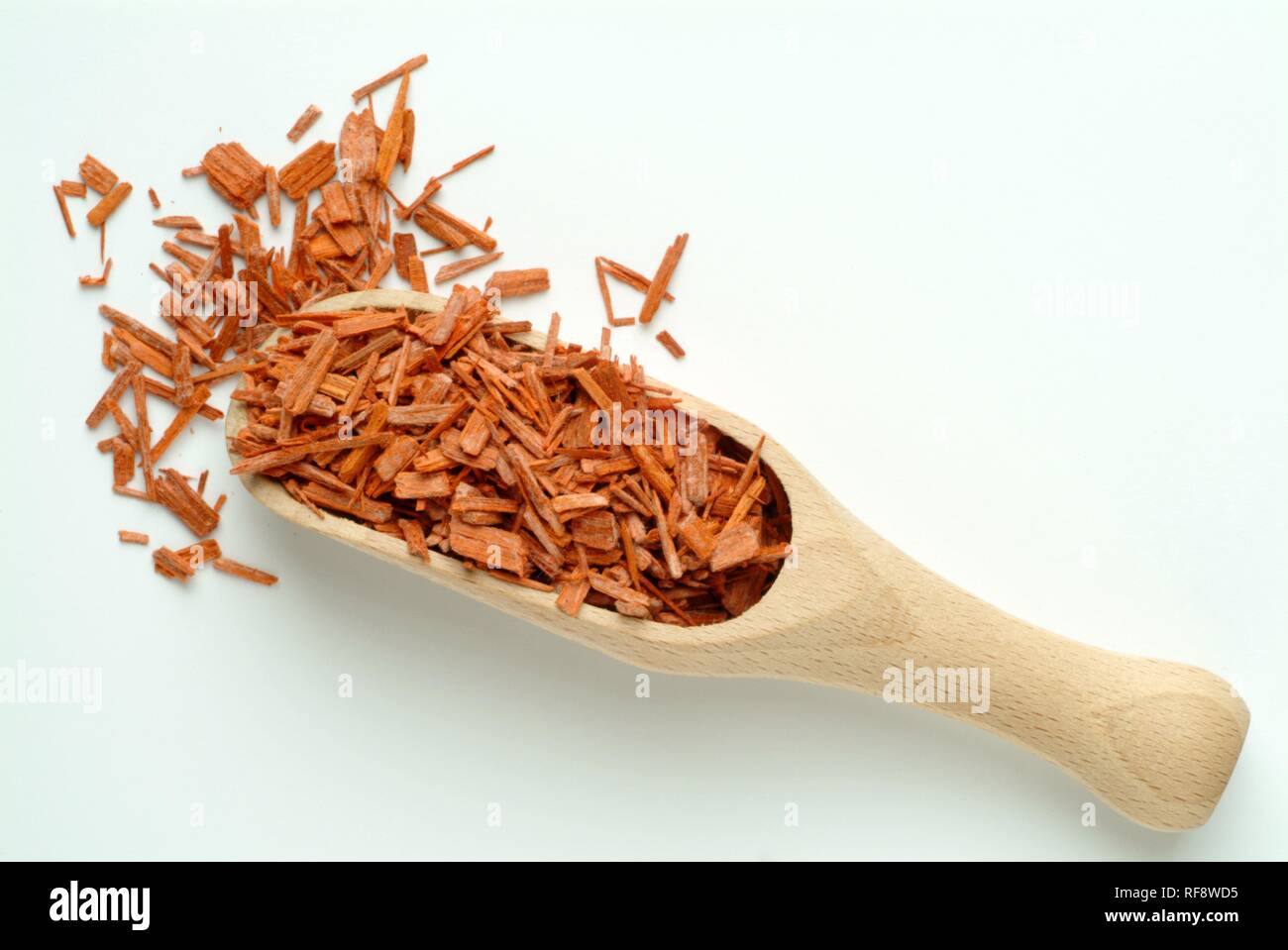 Rotes Sandelholz oder Rot Sandas (Pterocarpus santalinus), Getrocknete Rinde und Kraut, Heilpflanzen, Tee Stockfoto