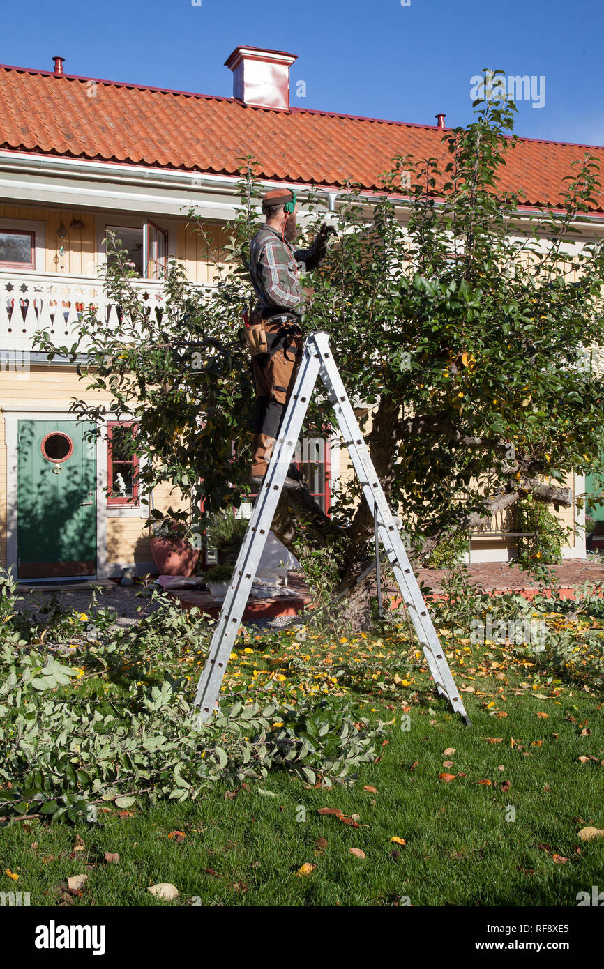 Obstbäume beschneiden Fotos und Bildmaterial in hoher Auflösung Alamy