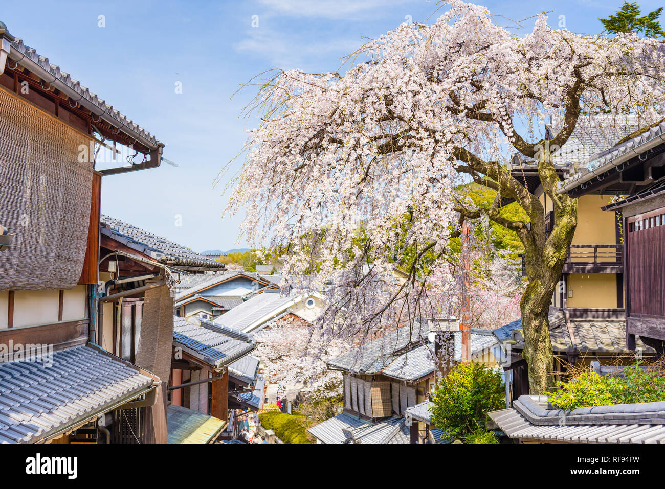 Kyoto, Japan im Stadtteil Higashiyama mit Kirschblüten Frühling. Stockfoto