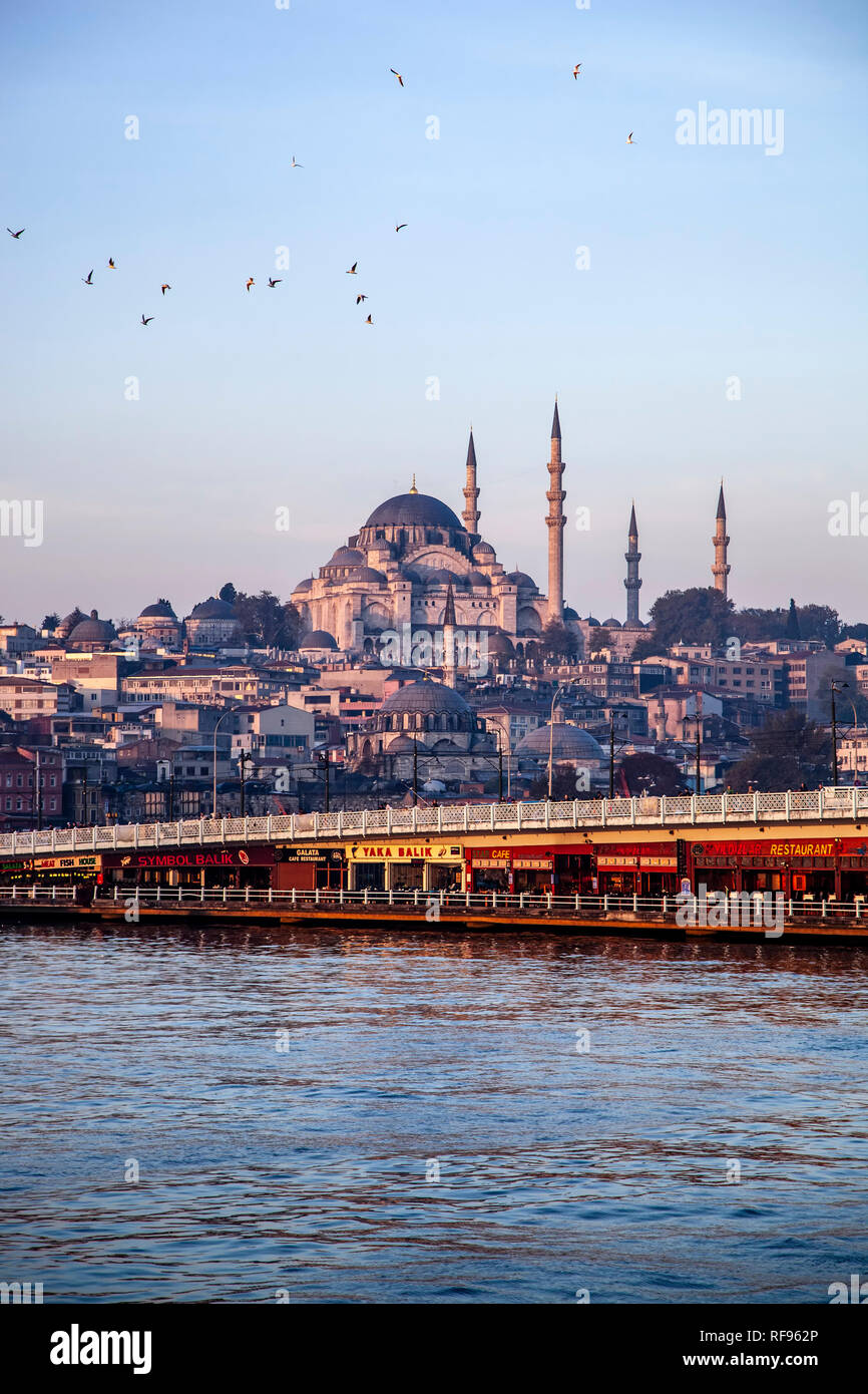 Süleymaniye-Moschee und Galata-Brücke, Istanbul, Türkei Stockfoto