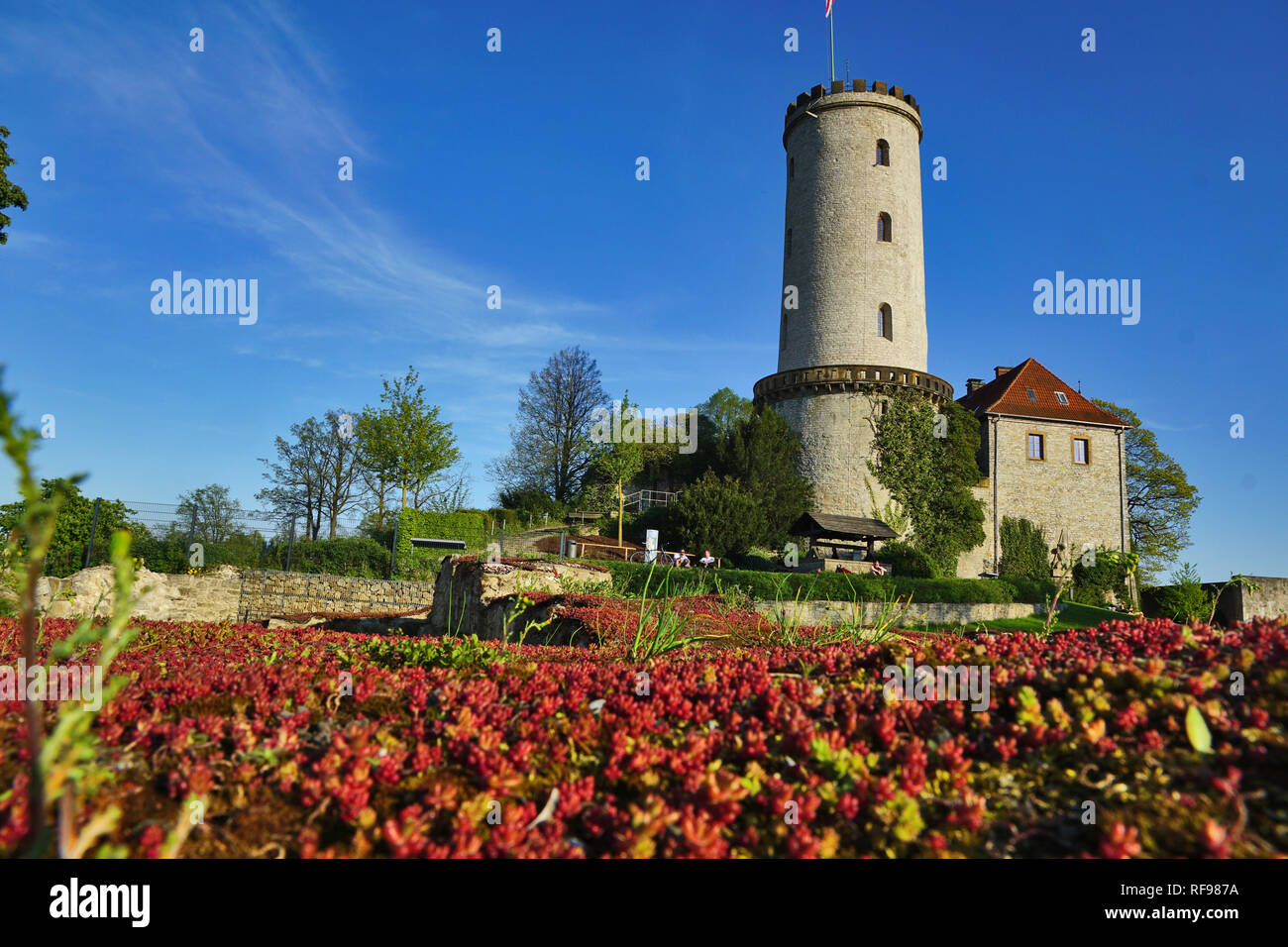 Sparrenburg in Bielefeld mit roten Blumen, Deutschland Stockfoto