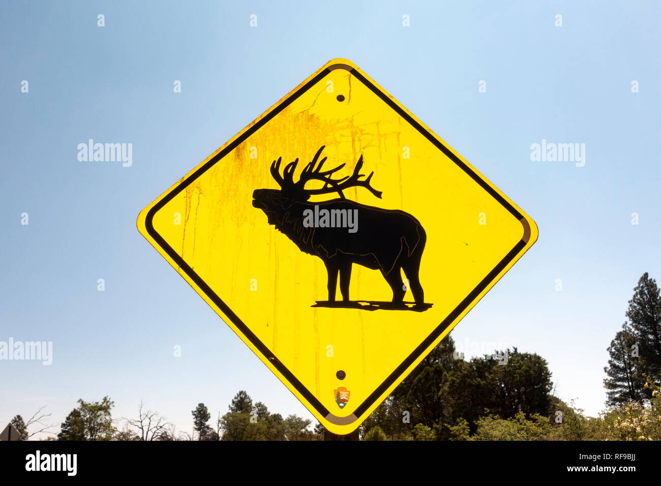 Ein Elch Kreuzung Warnschild im Grand Canyon Village, South Rim, Grand Canyon National Park, Arizona, United States. Stockfoto