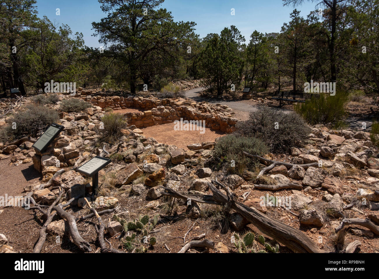 Blick in den Wohnbereich der Tusayan Ruine (oder Tusayan Pueblo) im Grand Canyon National Park, Arizona, USA. Stockfoto