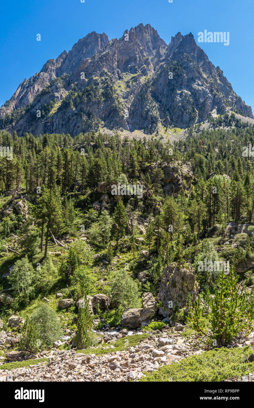 Die verzauberte Berggipfel Stockfoto