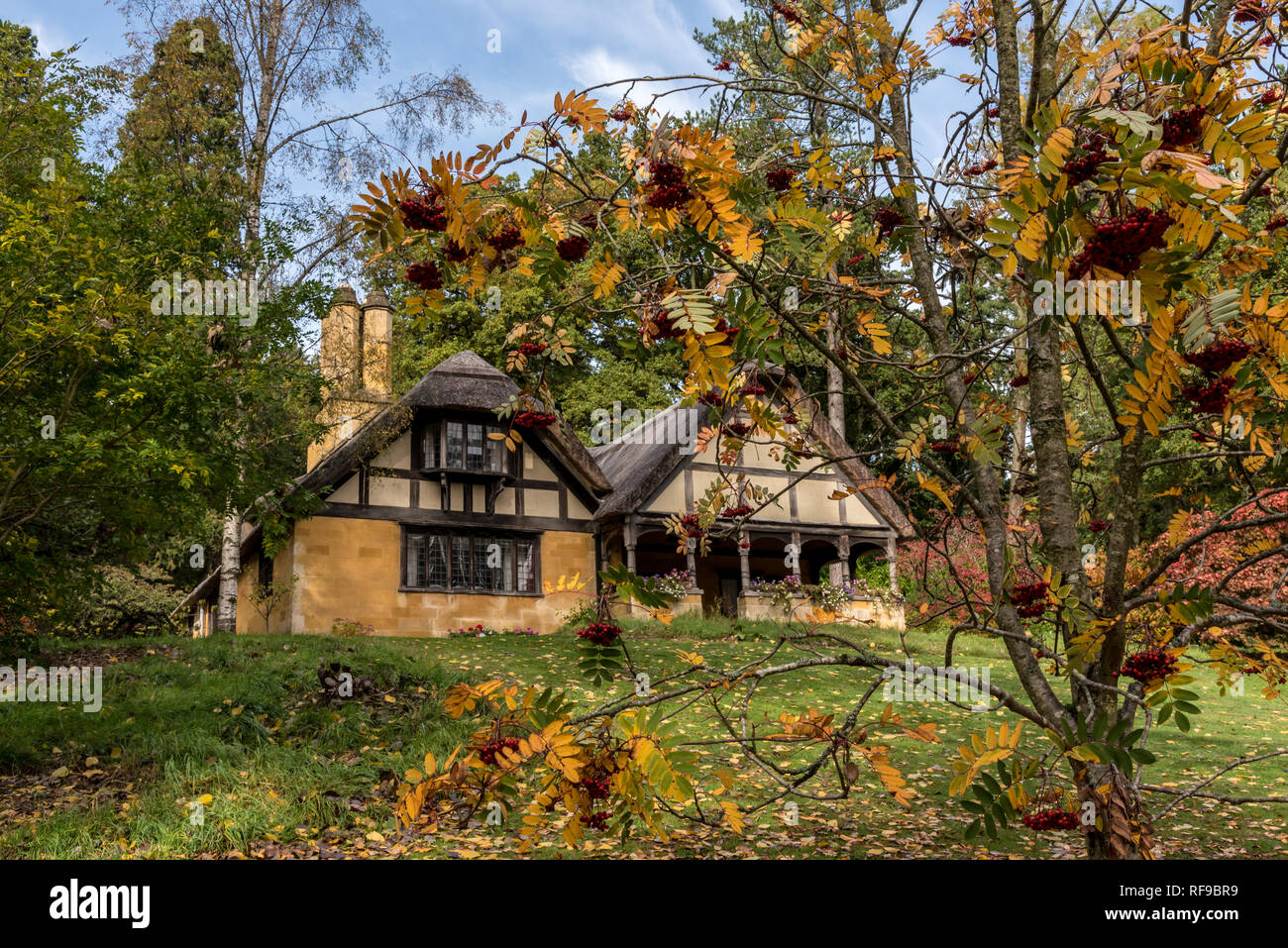 Landhaus im Wald Stockfoto