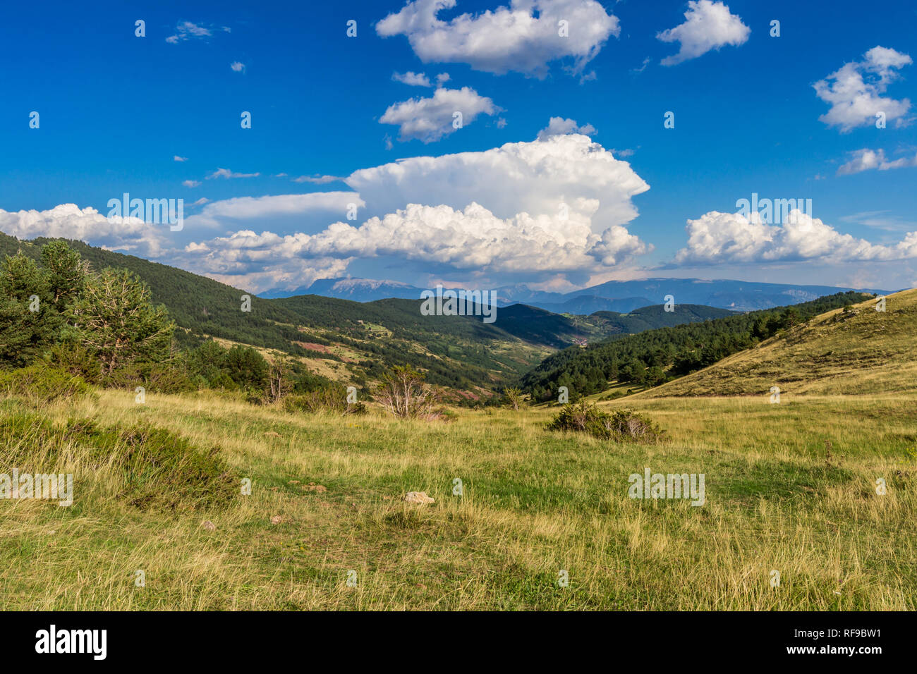 Beautiufl Sommer Blick in die Berge. Stockfoto