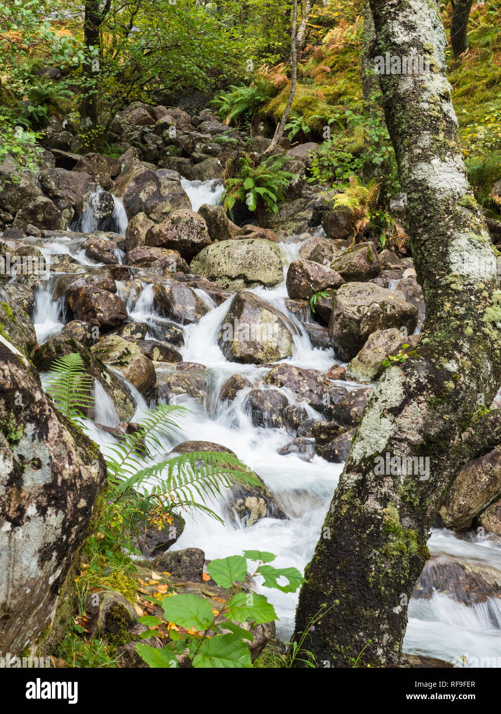 Wasserfall im Tal von Glen Nevis, Schottland Stockfoto