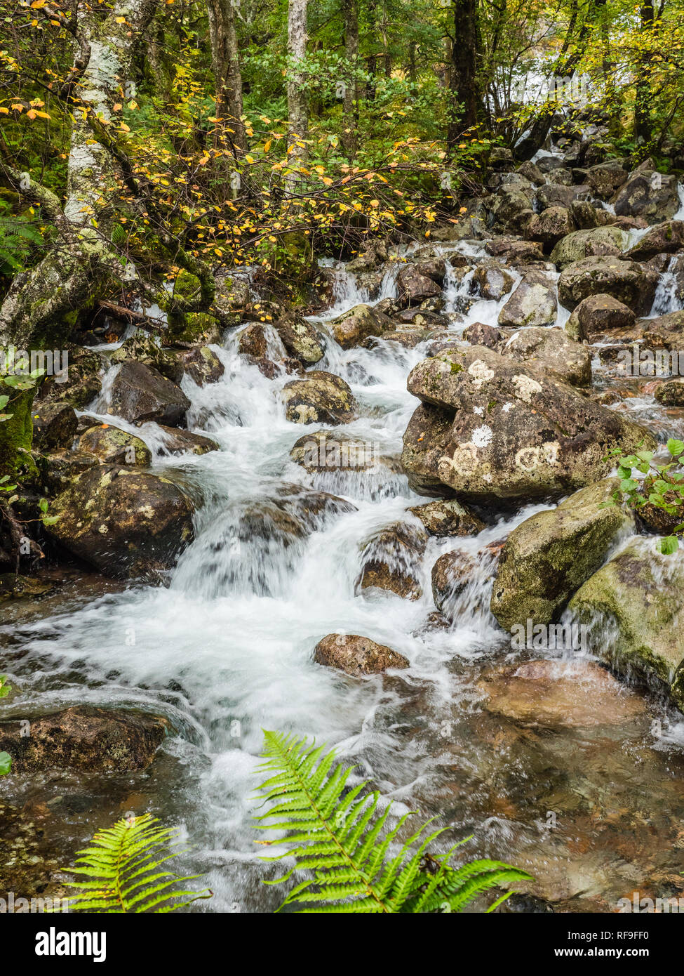 Wasserfall im Tal von Glen Nevis, Schottland Stockfoto