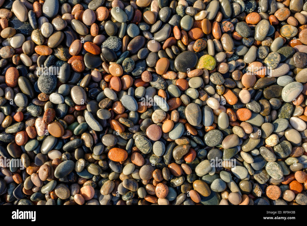 Farbige Steine auf einem Schottischen Strand, der von der untergehenden Sonne beleuchtete Stockfoto