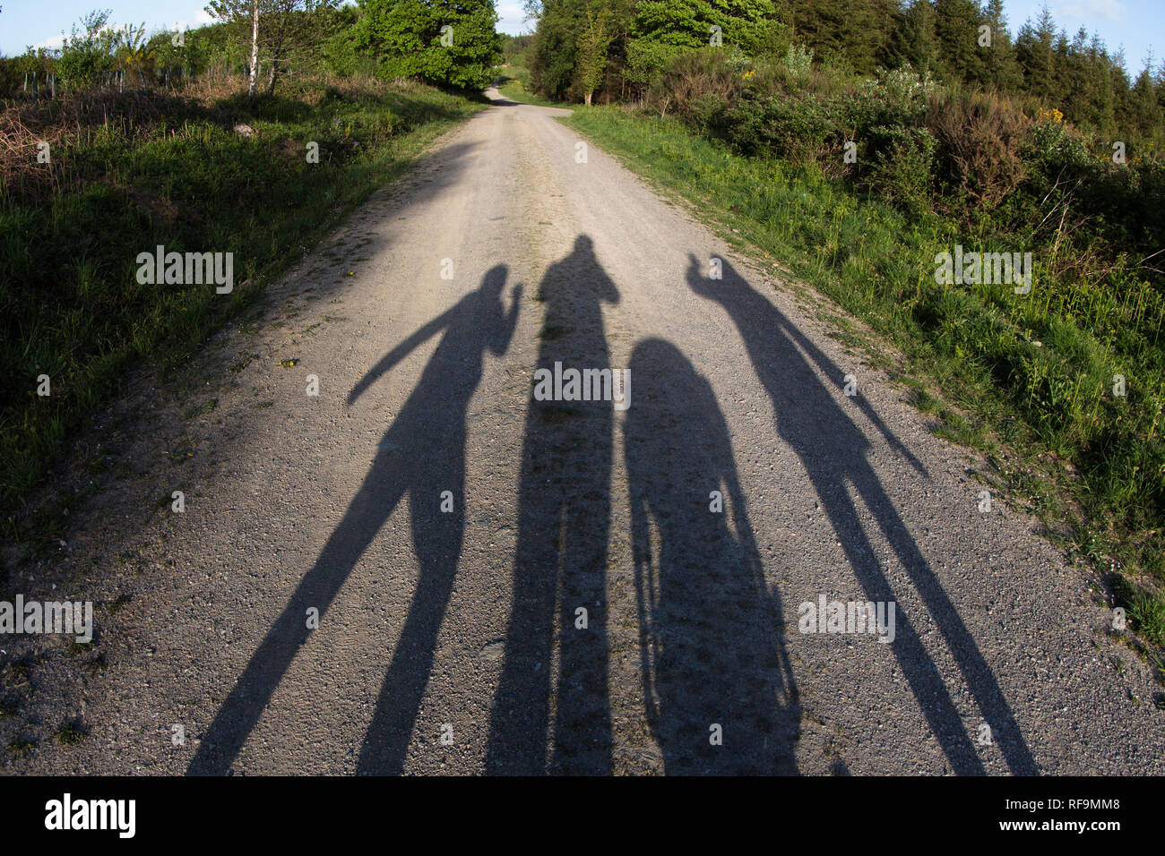 Lange Schatten einer Familie für einen Spaziergang Stockfoto