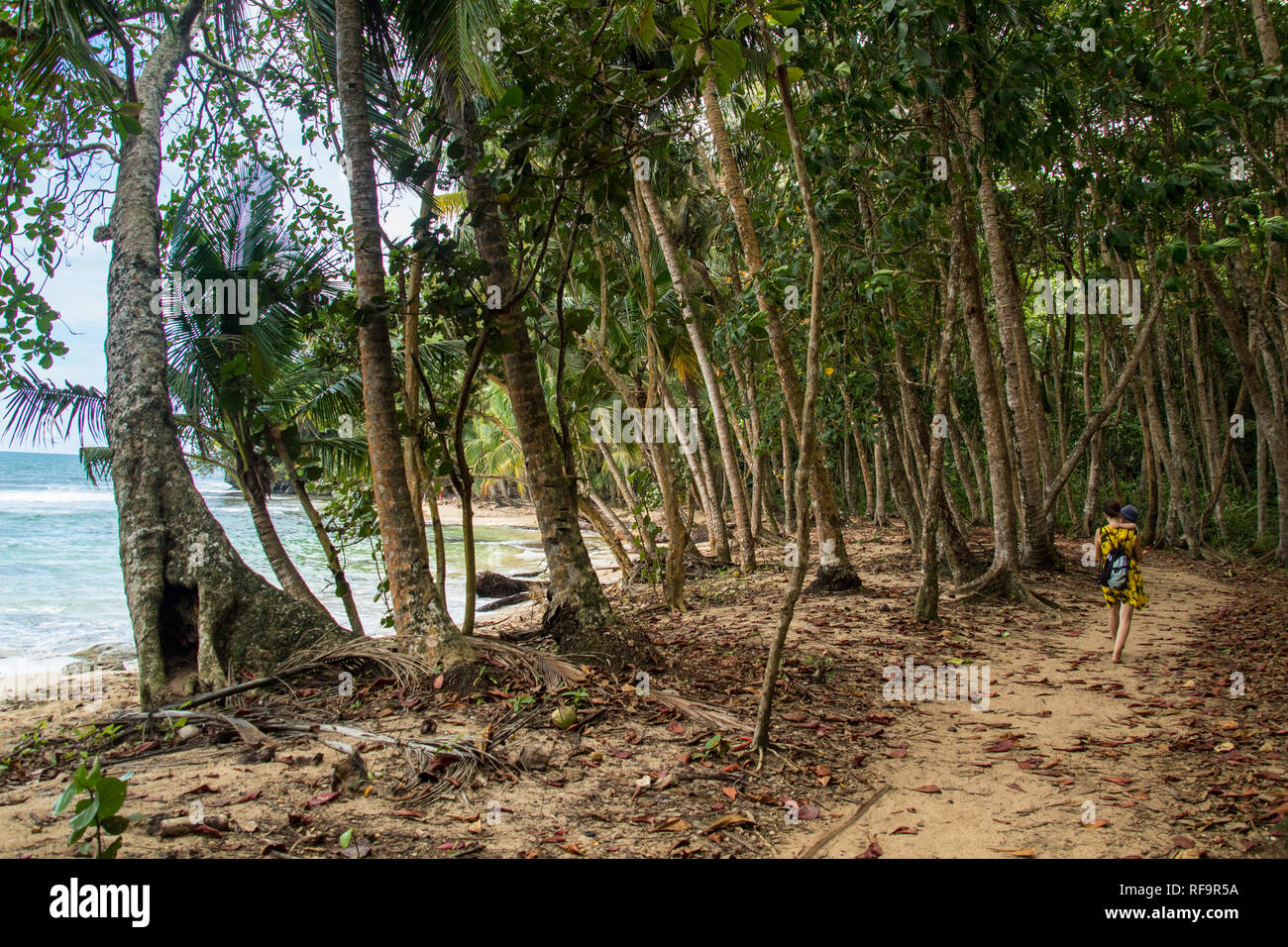 Ein Foto von einer Frau und Sohn zu Fuß auf einem Wanderweg in der Nähe zu einem schönen Strand mit türkisblauem Wasser in Manzanillo National Park, Costa Rica Stockfoto