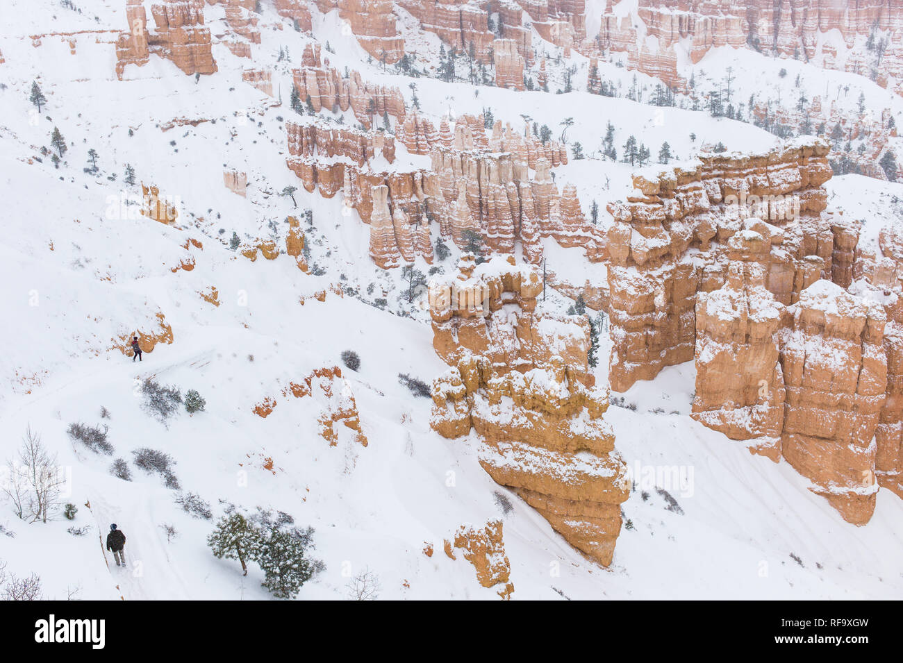 Höhe Bryce Canyon National Park, Paunsaugunt Plateau, Utah, Schnee im Winter, die Gegensatz zum berühmten roten Rock im Park Hoodoos Stockfoto