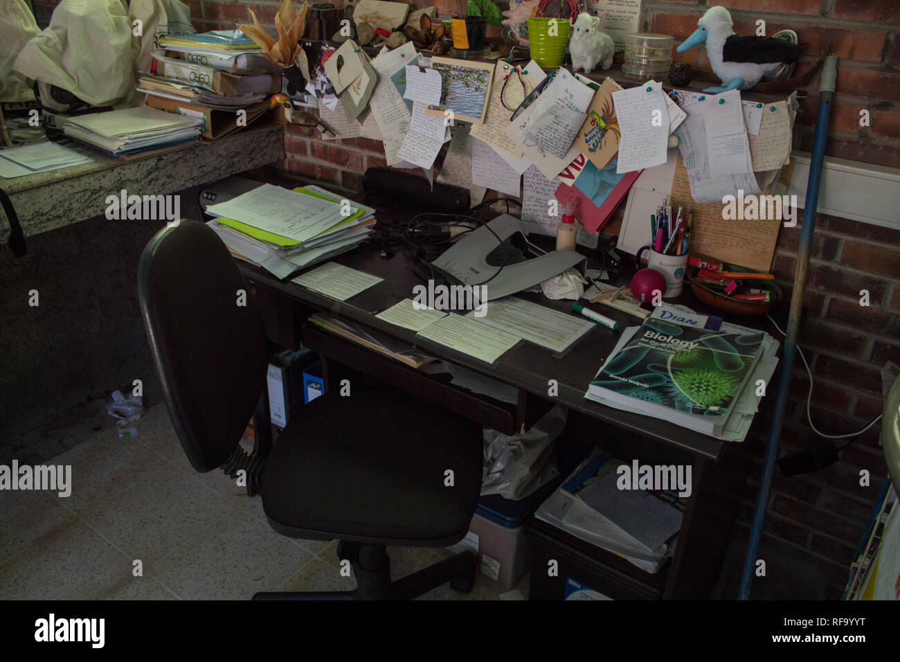 Ein Foto der Arbeitsplatz eines wirklich beschäftigt Wissenschaft Lehrer. Stockfoto