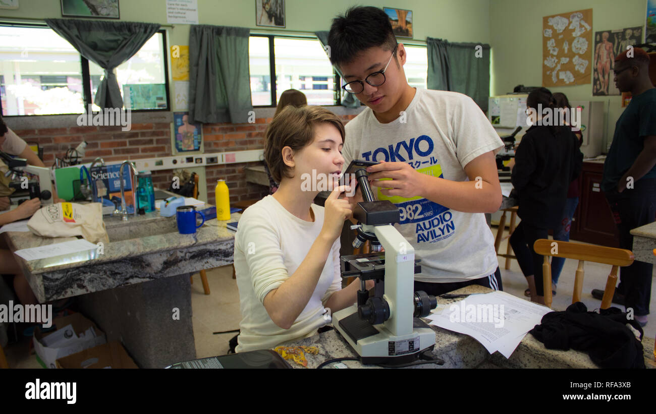 Zwei International baccalaureate Studenten Fotografieren einer Probe durch Mikroskop. In einer Wissenschaft Kategorie. Stockfoto