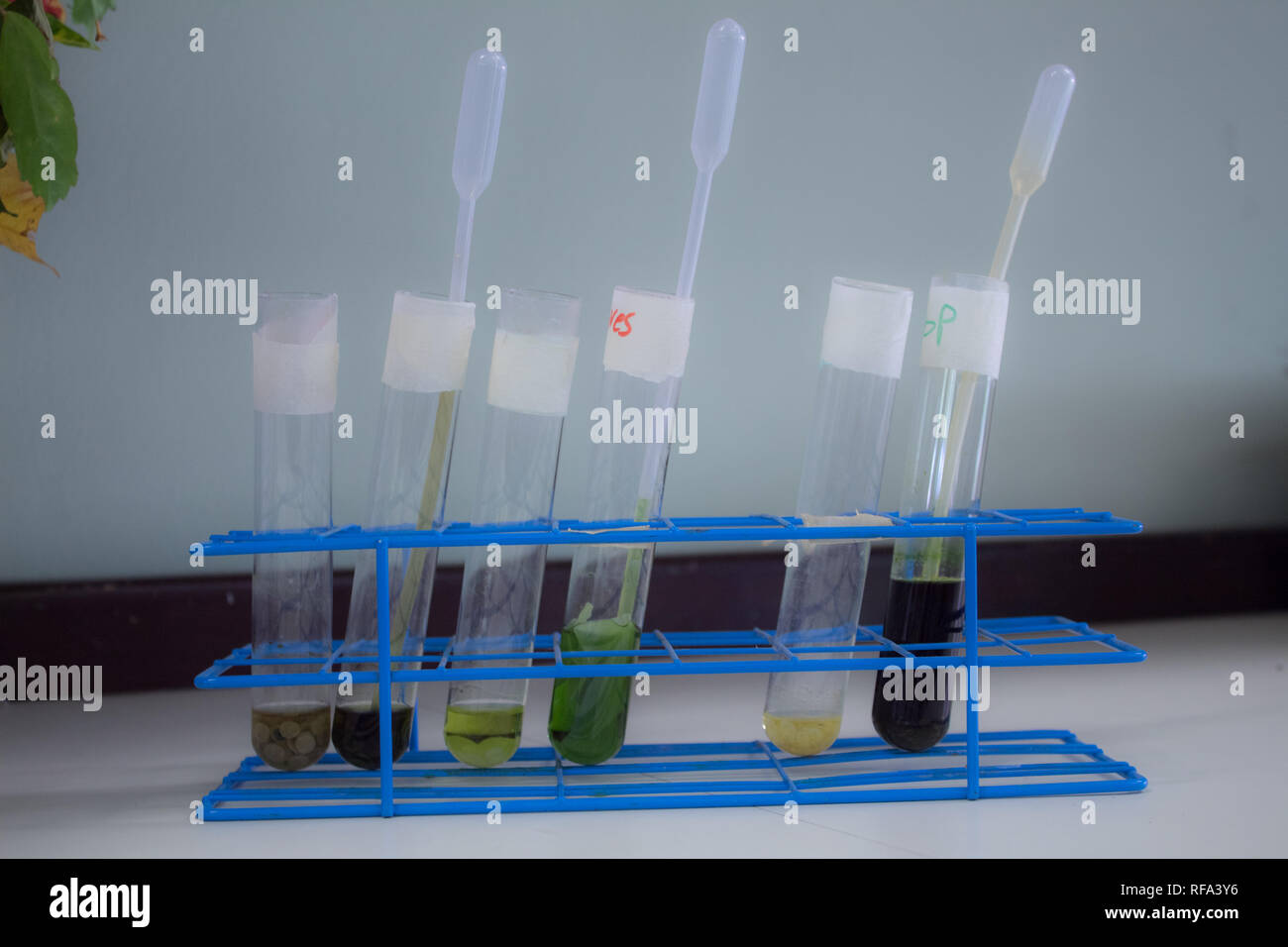 Ein Foto von mehreren bunten biologische Proben (in flüssiger Form) an einer Wissenschaft Klasse in einem International Baccalaureate School Stockfoto