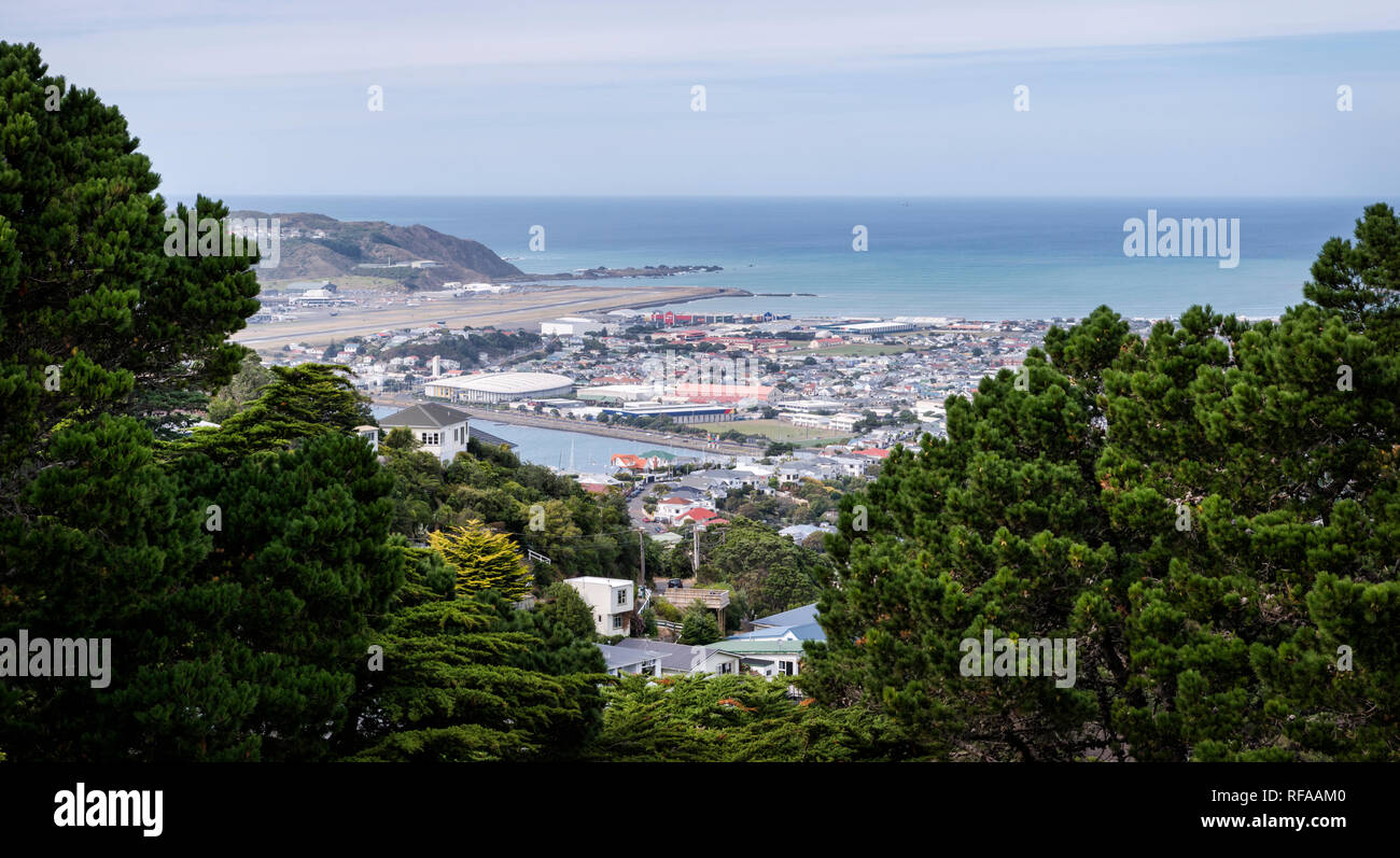 Blick auf Lyall Bay vom Mt Victoria übersehen in Wellington, Neuseeland Stockfoto