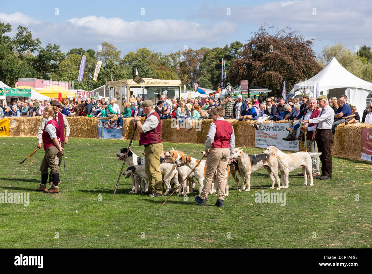 Eine Parade der Hunde an der Frampton Country Fair 2018 gehalten an Frampton Court, Frampton auf Severn, Gloucestershire, Großbritannien Stockfoto