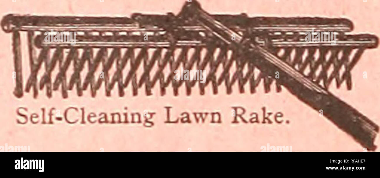 . Katalog der Blumenkohl, Kohl & Amp; Sellerie &Amp; Erdbeerpflanzen. : 1893. Saatgut Industrie und Handel Kataloge; Gemüse; Früchte Samen Samen Kataloge Kataloge; Sellerie Samen Samen Kataloge Kataloge; Blumenkohl; Kohl Samen Samen Kataloge Kataloge; Erdbeeren; Düngemittel; Insektizide Kataloge Kataloge. 28 PETER HENDERSON &Amp; CO., ordentlich YORK. - implementiert. LHWN RECHEN, Meister RAD RASEN harken. Das "Juwel" Rasen harken. Meister Rad Rasen Harken. Die neuesten, besten und leichtesten Rad Rasen Harken. Den Griff-ing Reversi werden möglich, gibt der Rake der sehr wünschenswerte Eigenschaft von bei Stockfoto