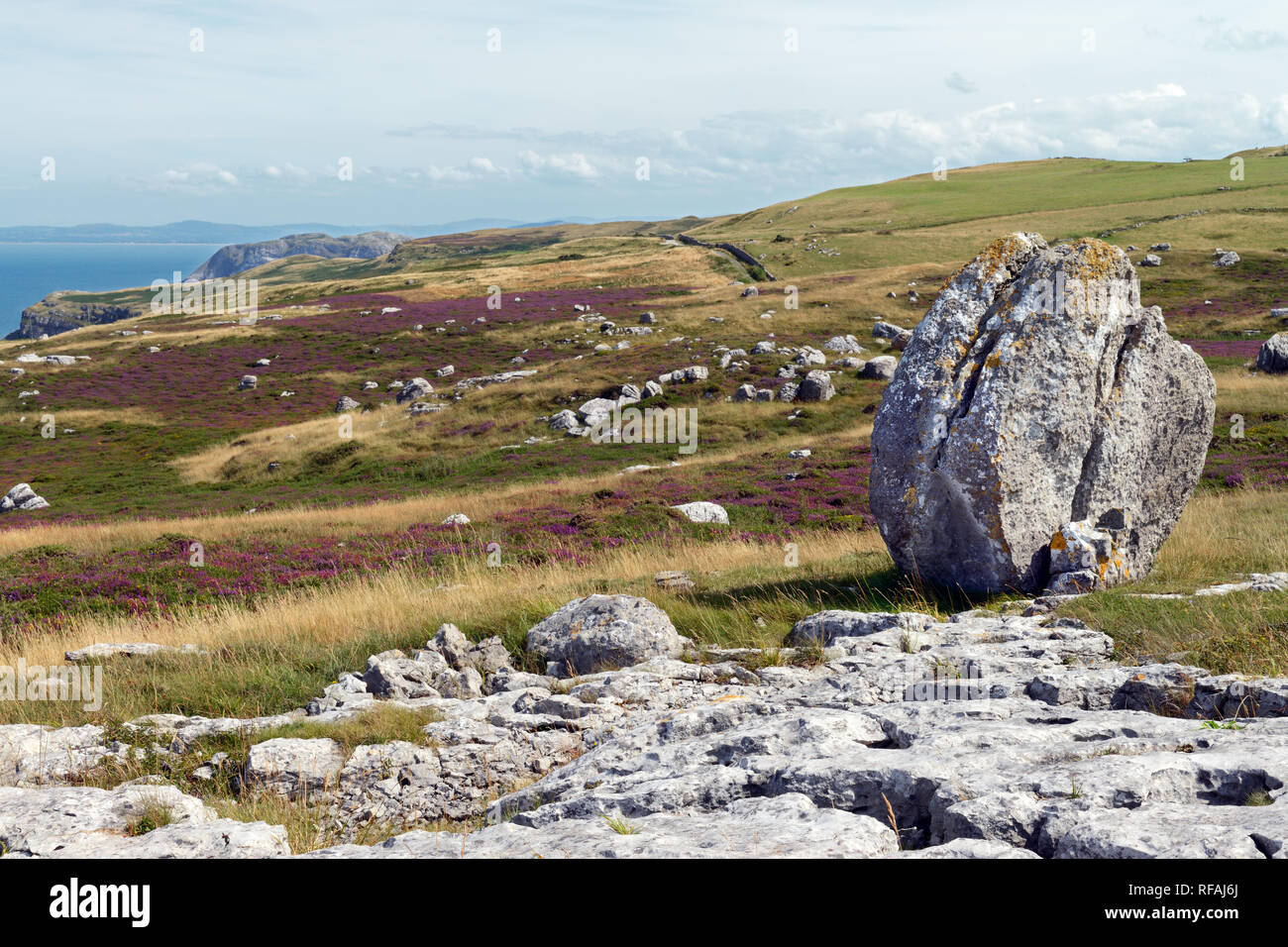 Eiszeitliche Findlinge auf der Great Orme Landspitze im Norden von Wales sind der Beweis dafür, dass die Gegend war von einem Gletscher während der letzten Eiszeit. Stockfoto