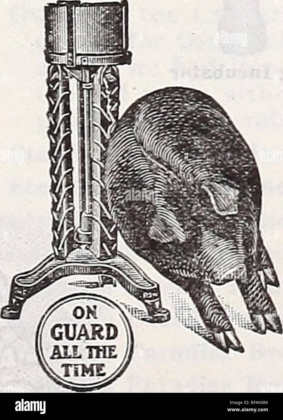 . Katalog 1918. Baumschulen (Gartenbau) Tennessee Memphis Kataloge; Baumschulen Tennessee Memphis Kataloge; Blumen Tennessee Memphis Tennessee Memphis Kataloge; Gemüse; Früchte Tennessee Memphis Kataloge Kataloge; Gartenarbeit Tennessee Memphis Ausrüstung und-Support. Obst und Gemüse Verdampfer Mit dieser Maschine können Sie chemische verderbliche Lebensmittel für den Winter ohne Dosen oder Zucker. Es ist die billigste und einfachste Methode zur Konservierung von Obst und Gemüse, die in vielen Fällen überlegen zu Konserven sind, in der sowohl der Geschmack als auch die ernährungsphysiologischen Eigenschaften. Eine vollständige Broschüre mit jeder Maschine eingerichtet Stockfoto